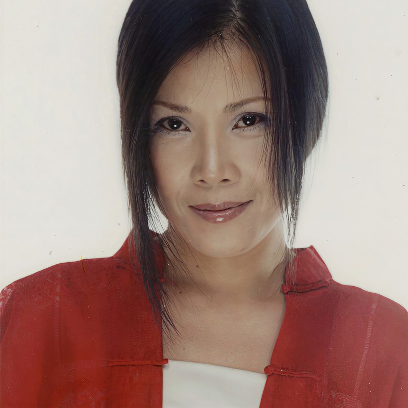 田震-《风雨彩虹铿锵玫瑰》