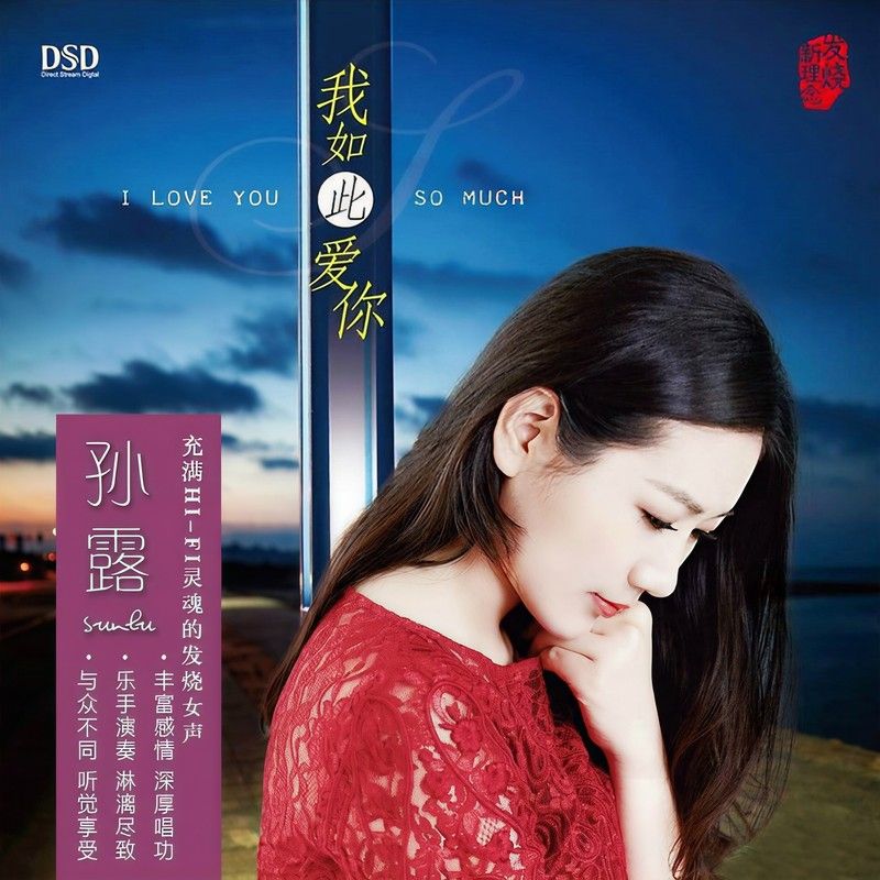 孙露-《我如此爱你》
