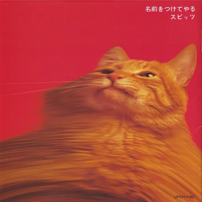 Spitz-《名前をつけてやる》
