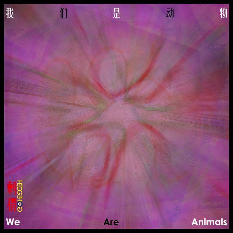 刺猬-《我们是动物》