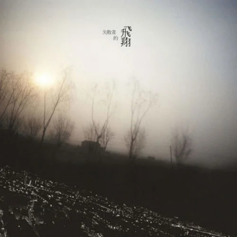 陈绮贞-《失败者的飞翔》