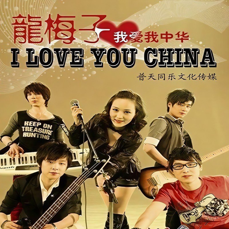 龙梅子-《爱国与爱情》