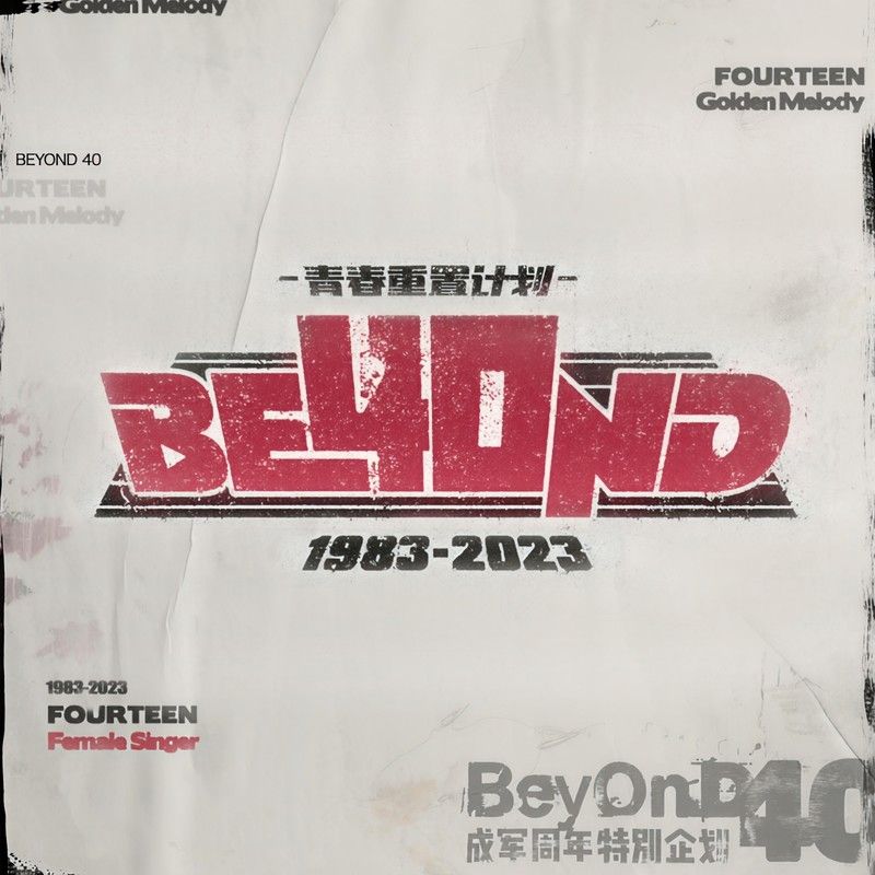 Twins-《青春重置计划之BEYOND 40》