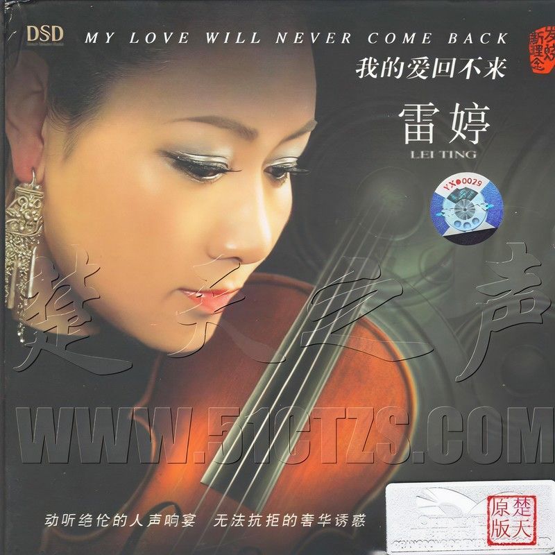 雷婷-《我的爱回不来》