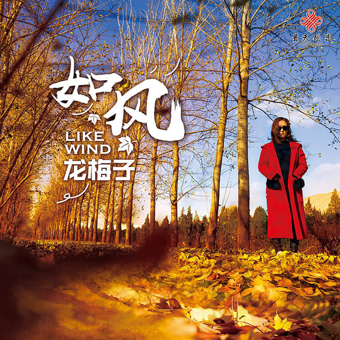 龙梅子-《如风》