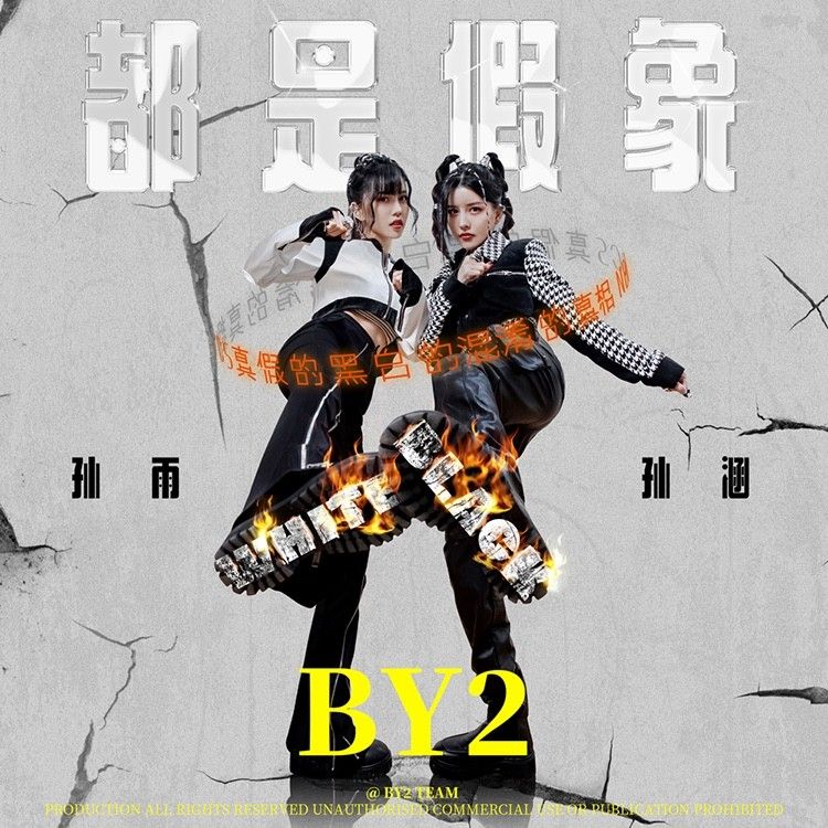 BY2-《都是假象》