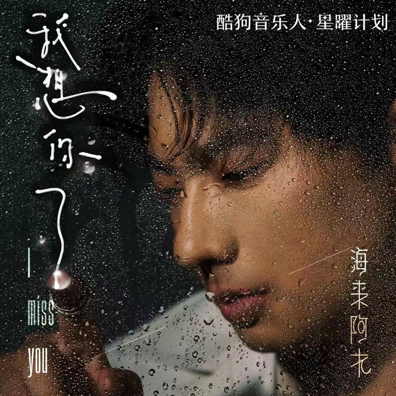 海来阿木-《我想你了》