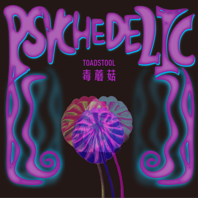 郑钧-《毒蘑菇》