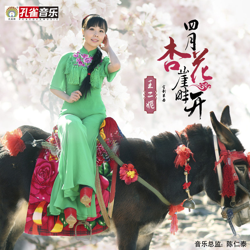 王二妮-《四月杏花崖畔开》