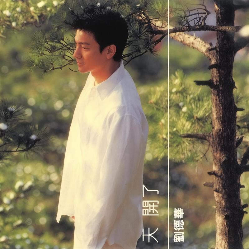 刘德华-《天开了》