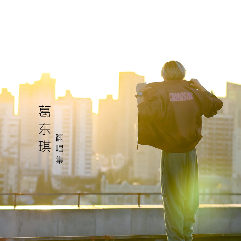 葛东琪-《葛东琪翻唱集（不定时更新）》