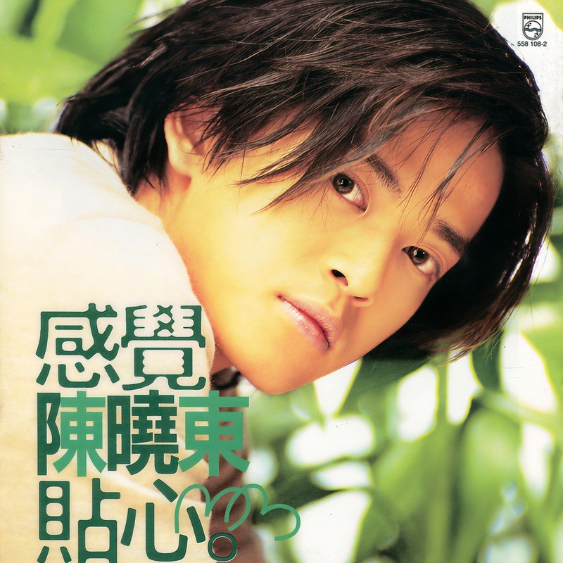 陈晓东-《感觉贴心》