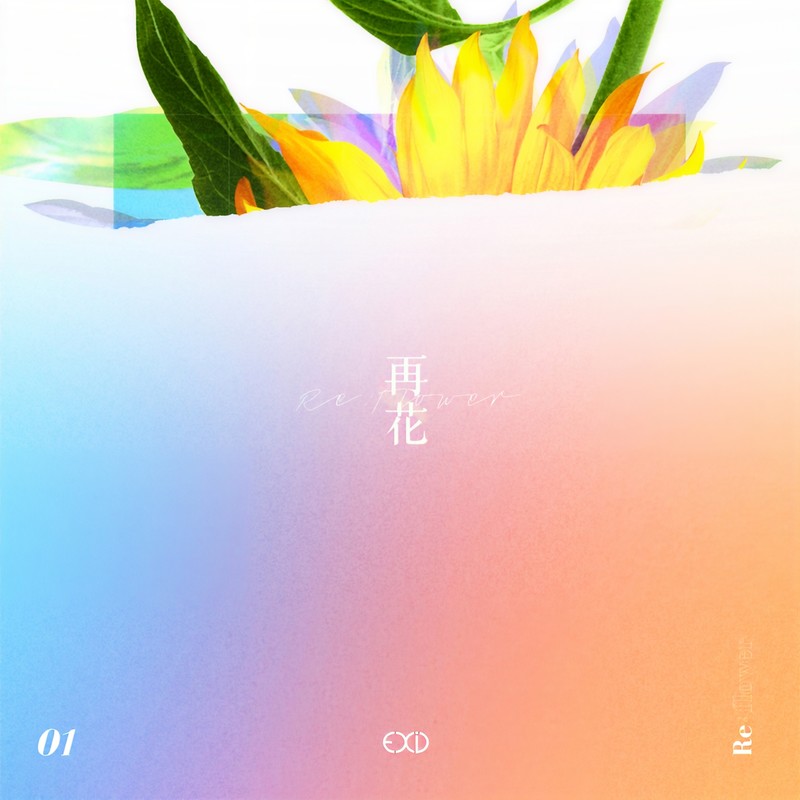 [Re_Flower] PROJECT #1