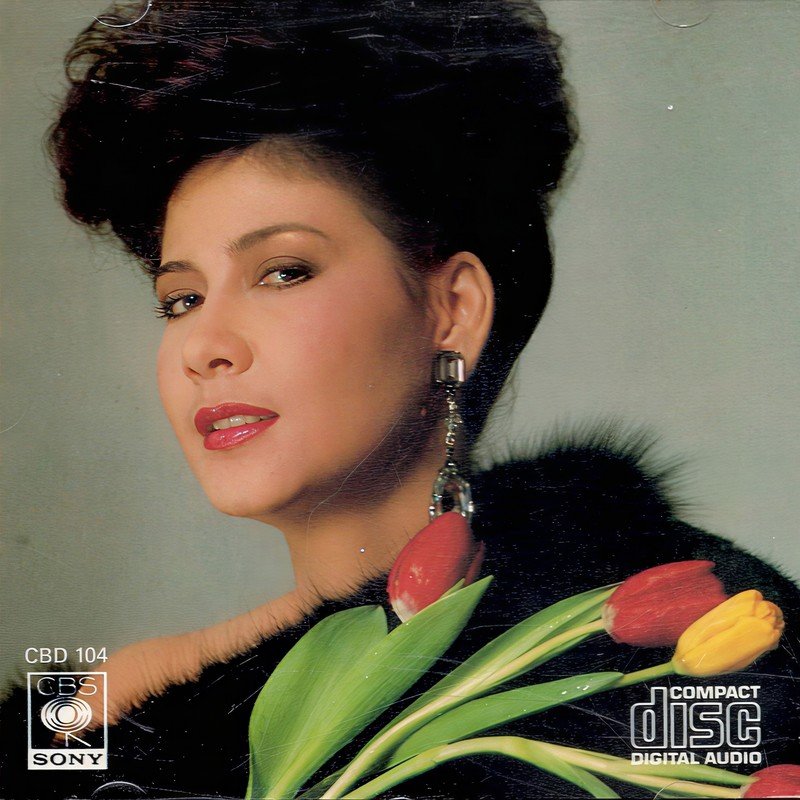 甄妮-《为你而歌》