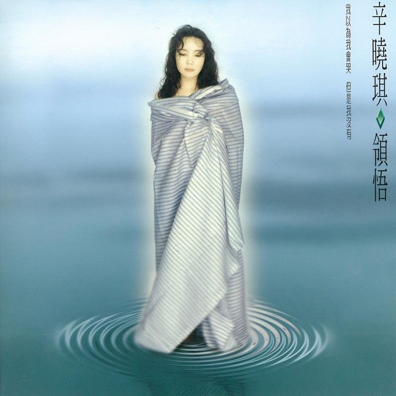 辛晓琪-《领悟》