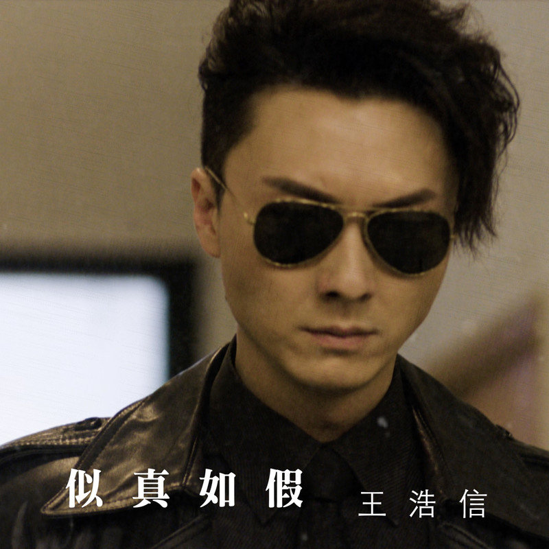 王浩信-《似真如假》