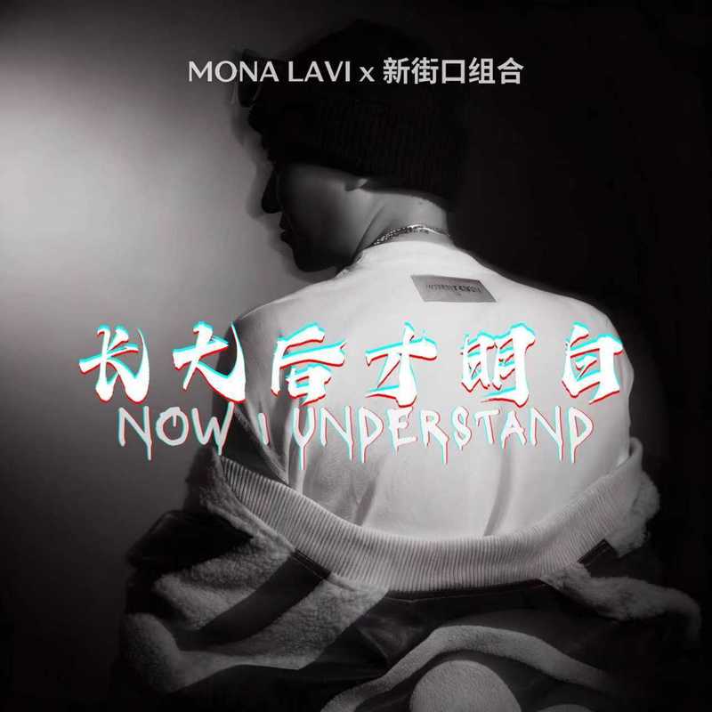 新街口组合-《长大后才明白》