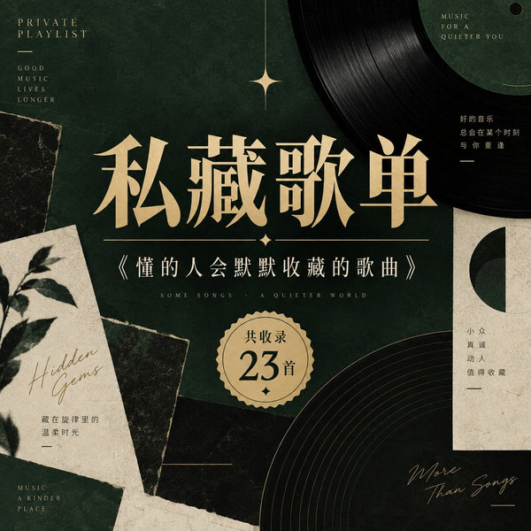 懂的人会默默收藏的歌曲