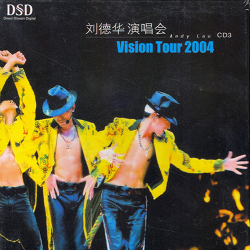 刘德华-《Vision Tour 2004 演唱会》