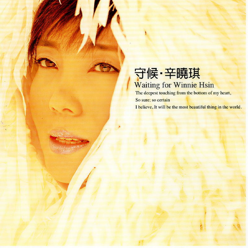 辛晓琪-《守候·辛晓琪》