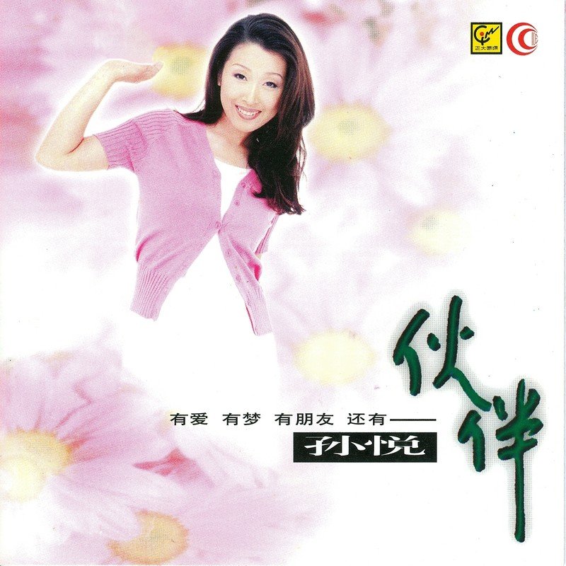 孙悦-《伙伴》