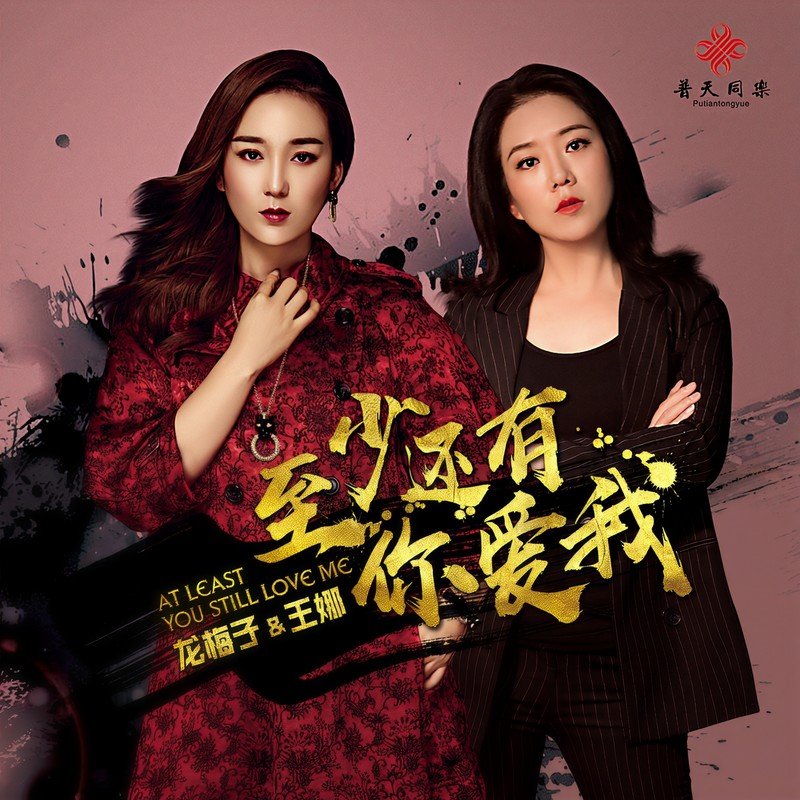 龙梅子-《至少还有你爱我》