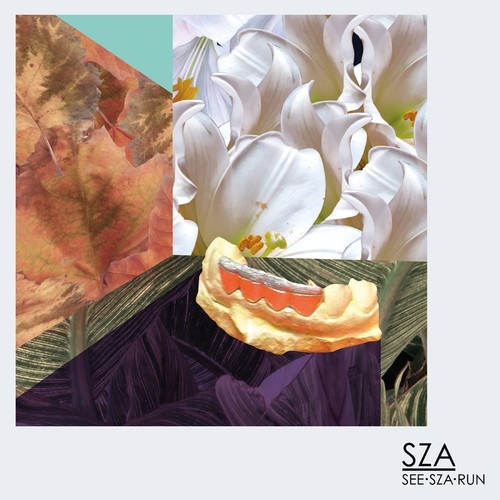 SZA-《See_SZA_Run》