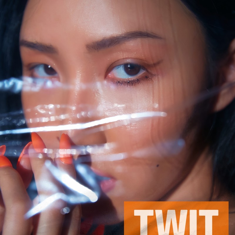 Hwa Sa (华莎)-《멍청이 (TWIT)》