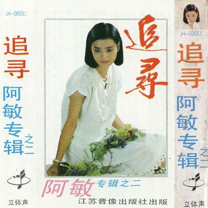 毛阿敏-《追寻》