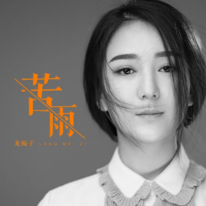 龙梅子-《苦雨》