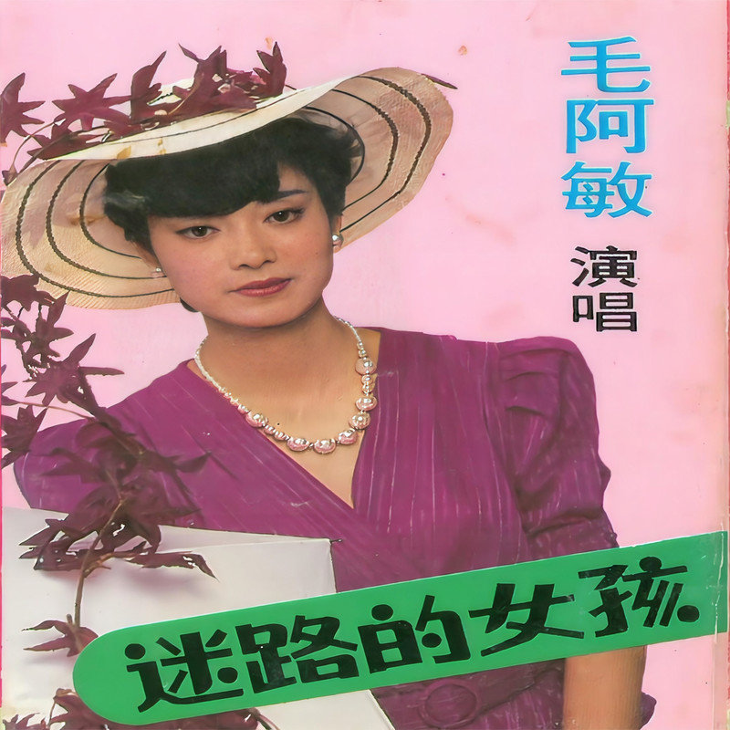 毛阿敏-《迷路的女孩》