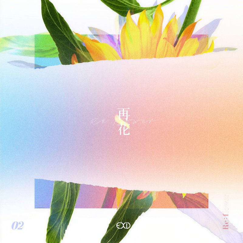 [Re_Flower] PROJECT #2