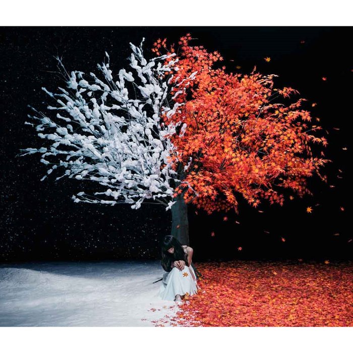 Aimer-《茜さす_everlasting snow (夕晖_everlasting snow)》