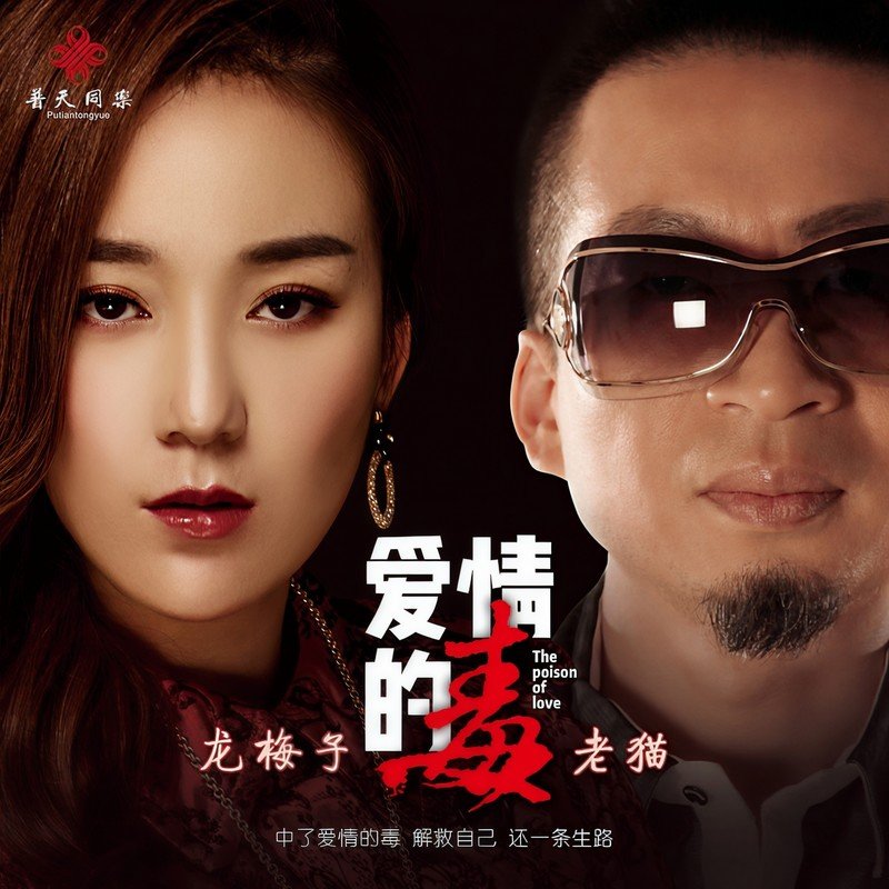 龙梅子-《爱情的毒》
