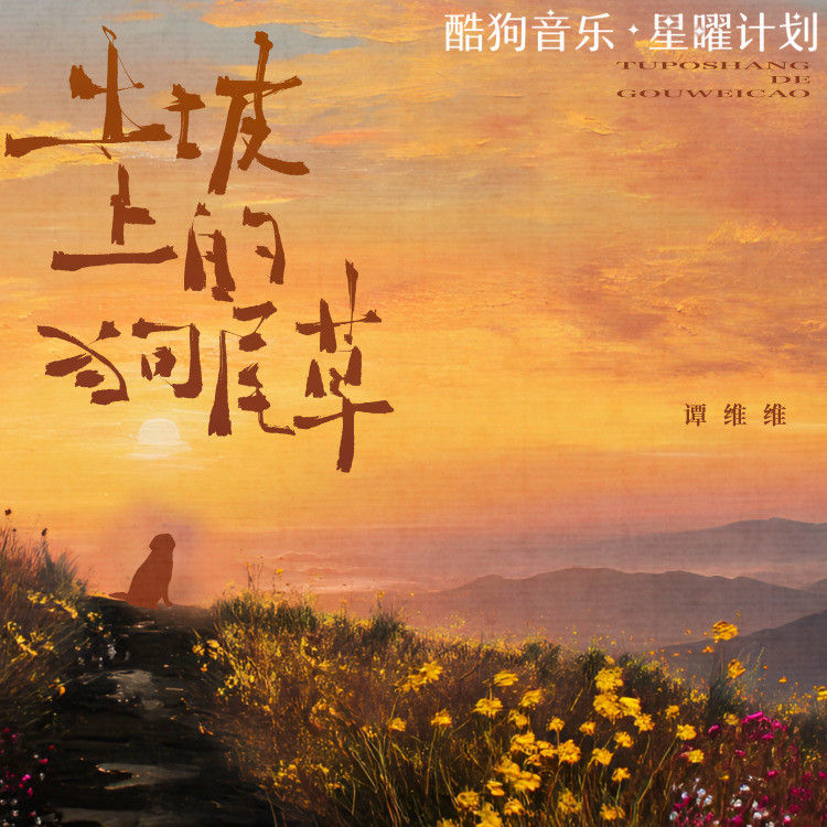 谭维维-《土坡上的狗尾巴草》