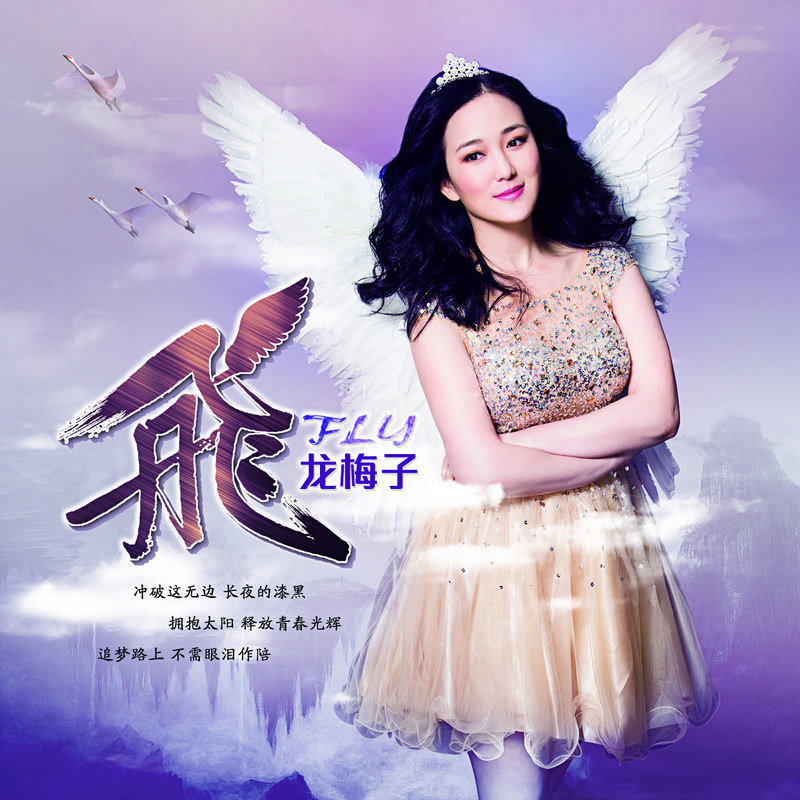 龙梅子-《飞》