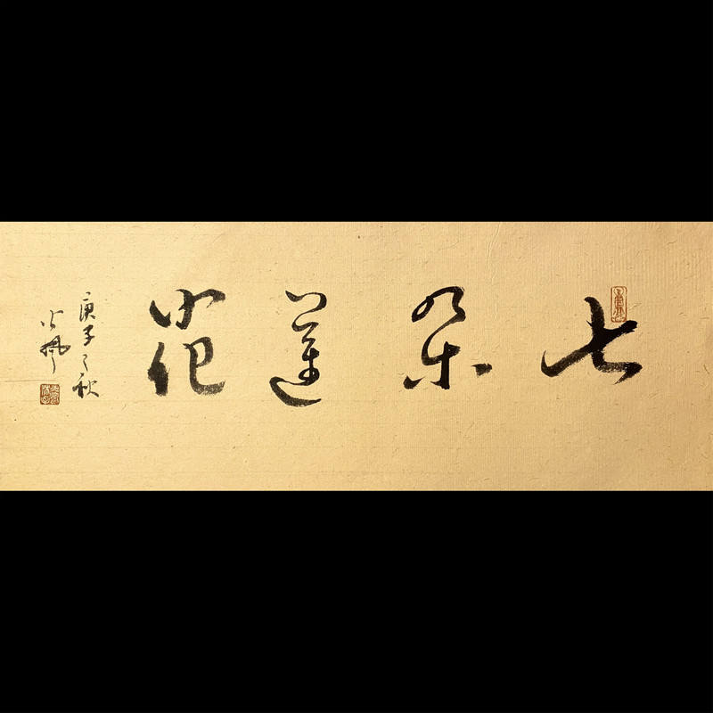 火风-《七朵莲花》