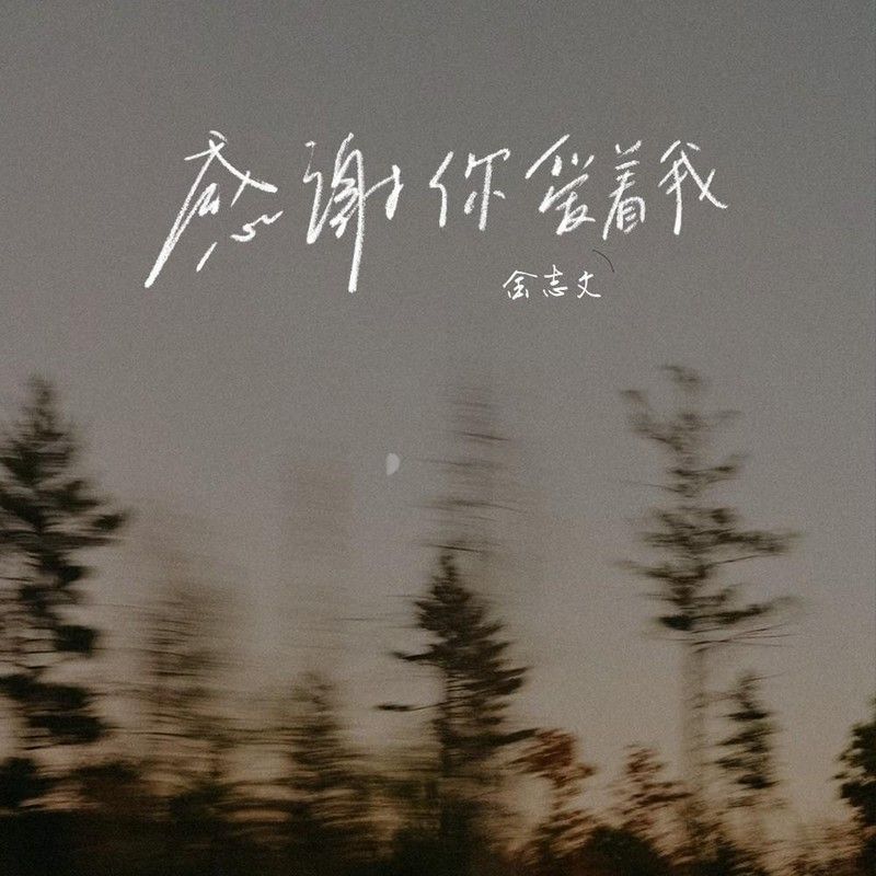 金志文-《感谢你爱着我》