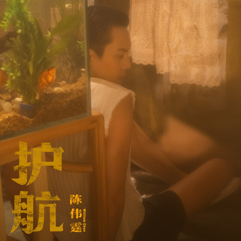陈伟霆-《护航》