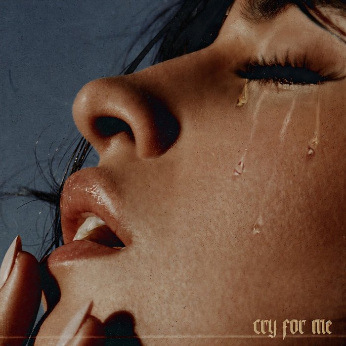 Camila Cabello-《Cry for Me》