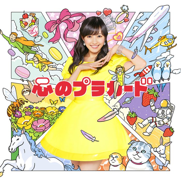 AKB48-《心のプラカード Type D 初回盤》