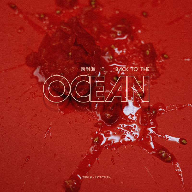 逃跑计划-《回到海洋》