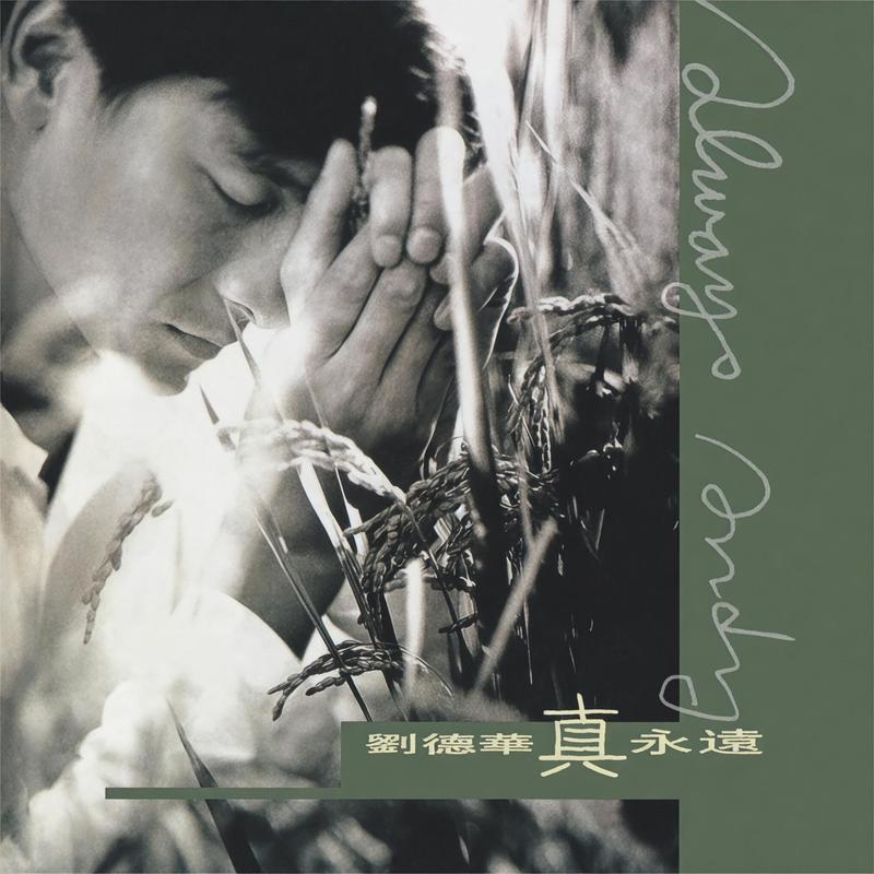刘德华-《真永远》