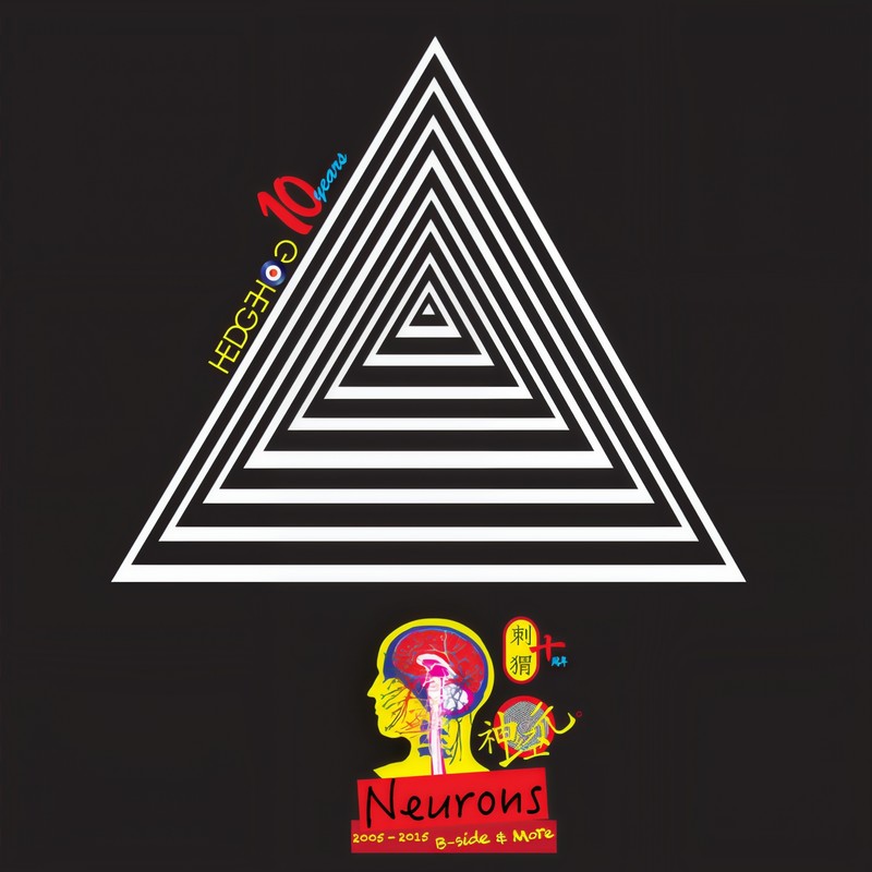 刺猬-《神经元 Neurons》