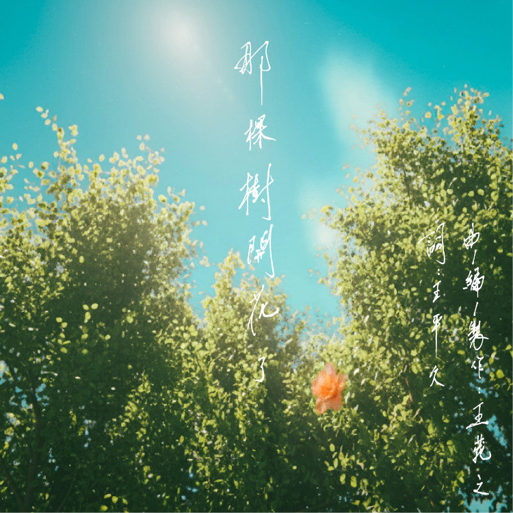 王菀之-《那棵树开花了》