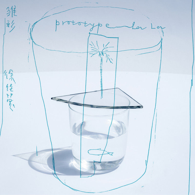徐佳莹-《雏形》