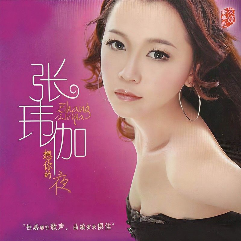 张玮伽-《想你的夜》