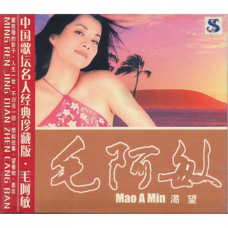 毛阿敏-《渴望》