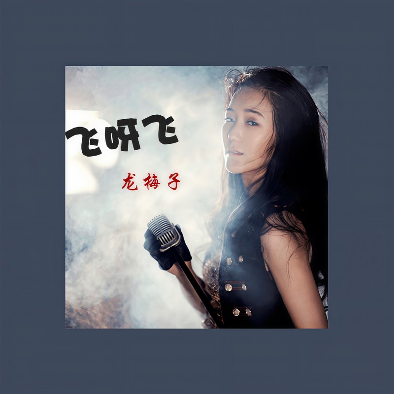 龙梅子-《飞呀飞》