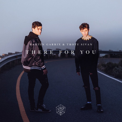 Martin Garrix 9首单曲 24-44